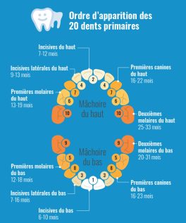 naitre-grandir-bebe-dent-de-lait-soulager-pousse-dentaire-1